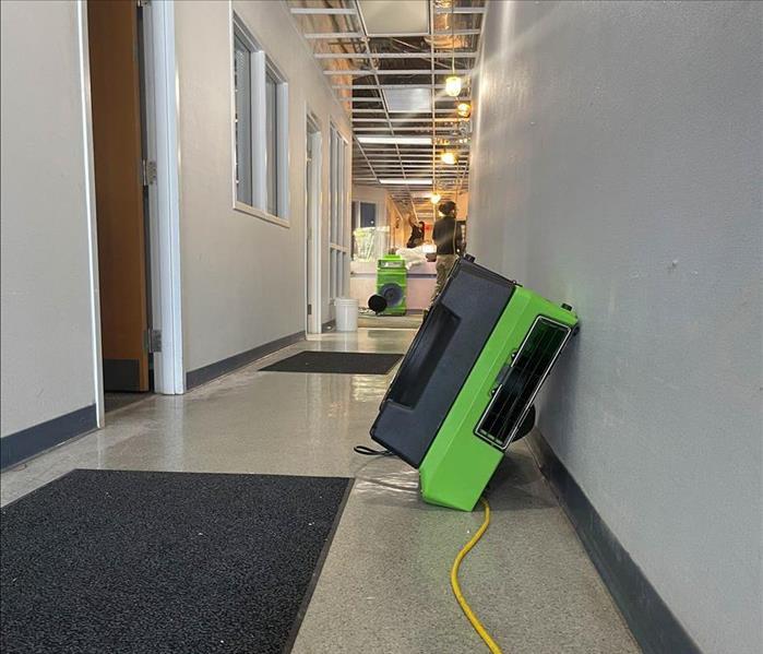 Green drying equipment in a hallway.
